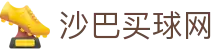 沙巴买球网世界杯专题 - 捷克对南非、瑞士对波黑赛程比分与直播资讯